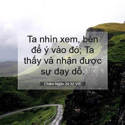 Picture 07 - Châm Ngôn 24:32 VIE - Ta nhìn xem, bèn để ý vào đó; Ta thấy - Bible Verse Picture