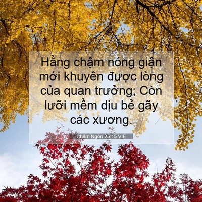Picture 07 - Châm Ngôn 25:15 VIE - Hằng chậm nóng giận mới khuyên được - Bible Verse Picture