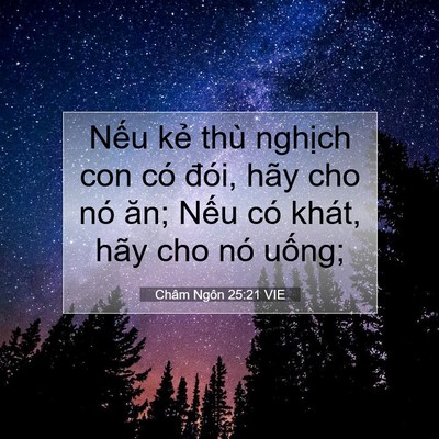Picture 07 - Châm Ngôn 25:21 VIE - Nếu kẻ thù nghịch con có đói, hãy cho - Bible Verse Picture