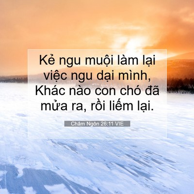 Picture 07 - Châm Ngôn 26:11 VIE - Kẻ ngu muội làm lại việc ngu dại - Bible Verse Picture