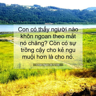 Picture 07 - Châm Ngôn 26:12 VIE - Con có thấy người nào khôn ngoan theo - Bible Verse Picture