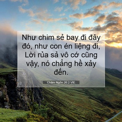 Picture 07 - Châm Ngôn 26:2 VIE - Như chim sẻ bay đi đây đó, như con én - Bible Verse Picture