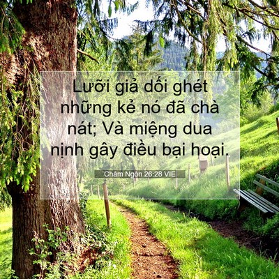 Picture 07 - Châm Ngôn 26:28 VIE - Lưỡi giả dối ghét những kẻ nó đã - Bible Verse Picture