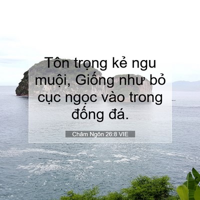 Picture 07 - Châm Ngôn 26:8 VIE - Tôn trọng kẻ ngu muội, Giống như bỏ - Bible Verse Picture