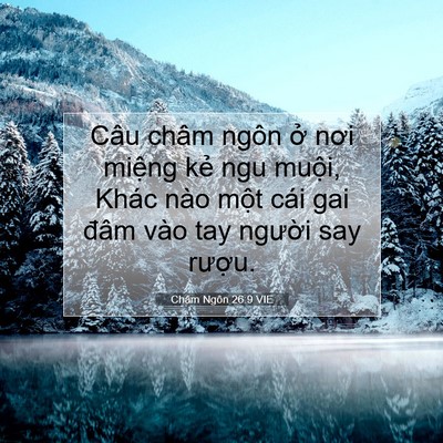 Picture 07 - Châm Ngôn 26:9 VIE - Câu châm ngôn ở nơi miệng kẻ ngu - Bible Verse Picture