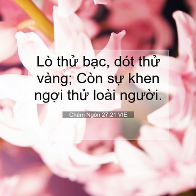 Picture 07 - Châm Ngôn 27:21 VIE - Lò thử bạc, dót thử vàng; Còn sự khen - Bible Verse Picture