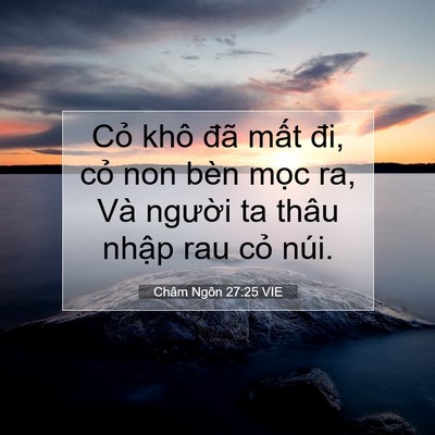Picture 07 - Châm Ngôn 27:25 VIE - Cỏ khô đã mất đi, cỏ non bèn mọc ra, - Bible Verse Picture