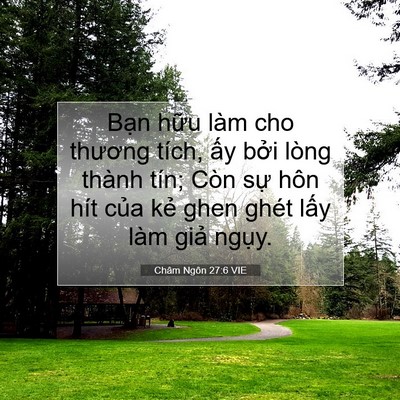 Picture 07 - Châm Ngôn 27:6 VIE - Bạn hữu làm cho thương tích, ấy bởi - Bible Verse Picture