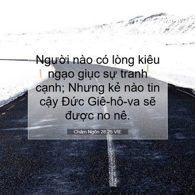 Picture 07 - Châm Ngôn 28:25 VIE - Người nào có lòng kiêu ngạo giục sự - Bible Verse Picture