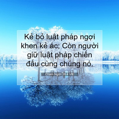 Picture 07 - Châm Ngôn 28:4 VIE - Kẻ bỏ luật pháp ngợi khen kẻ ác; Còn - Bible Verse Picture