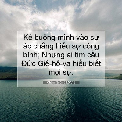 Picture 07 - Châm Ngôn 28:5 VIE - Kẻ buông mình vào sự ác chẳng hiểu - Bible Verse Picture