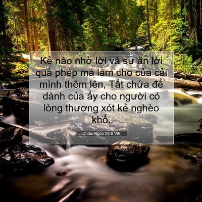 Picture 07 - Châm Ngôn 28:8 VIE - Kẻ nào nhờ lời và sự ăn lời quá - Bible Verse Picture