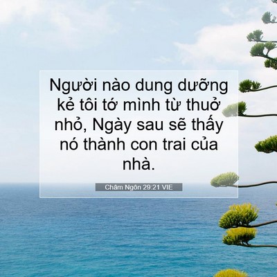 Picture 07 - Châm Ngôn 29:21 VIE - Người nào dung dưỡng kẻ tôi tớ mình - Bible Verse Picture