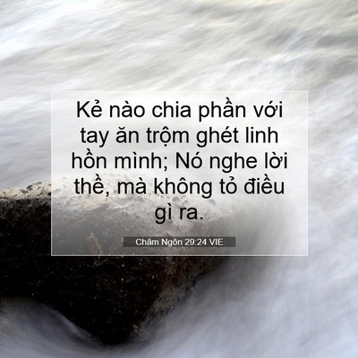 Picture 07 - Châm Ngôn 29:24 VIE - Kẻ nào chia phần với tay ăn trộm ghét - Bible Verse Picture