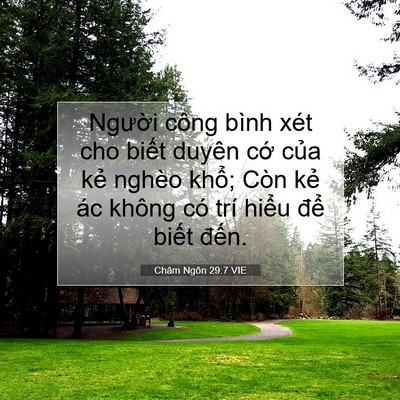 Picture 07 - Châm Ngôn 29:7 VIE - Người công bình xét cho biết duyên cớ - Bible Verse Picture