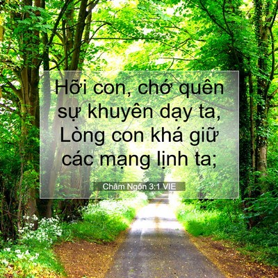 Picture 07 - Châm Ngôn 3:1 VIE - Hỡi con, chớ quên sự khuyên dạy ta, - Bible Verse Picture