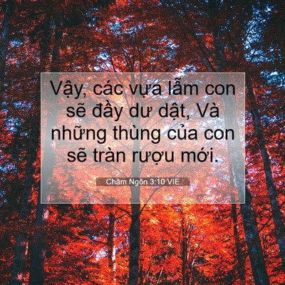 Picture 07 - Châm Ngôn 3:10 VIE - Vậy, các vựa lẫm con sẽ đầy dư - Bible Verse Picture