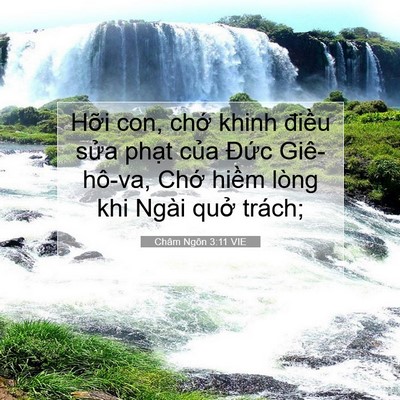Picture 07 - Châm Ngôn 3:11 VIE - Hỡi con, chớ khinh điều sửa phạt của - Bible Verse Picture