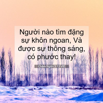 Picture 07 - Châm Ngôn 3:13 VIE - Người nào tìm đặng sự khôn ngoan, Và - Bible Verse Picture