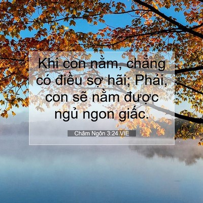 Picture 07 - Châm Ngôn 3:24 VIE - Khi con nằm, chẳng có điều sợ hãi; - Bible Verse Picture