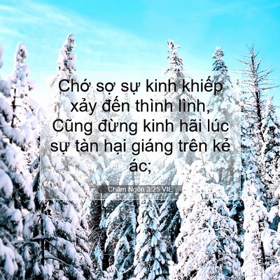 Picture 07 - Châm Ngôn 3:25 VIE - Chớ sợ sự kinh khiếp xảy đến thình - Bible Verse Picture
