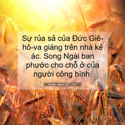 Picture 07 - Châm Ngôn 3:33 VIE - Sự rủa sả của Đức Giê-hô-va giáng - Bible Verse Picture