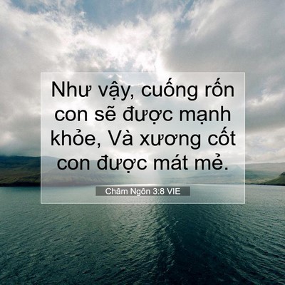 Picture 07 - Châm Ngôn 3:8 VIE - Như vậy, cuống rốn con sẽ được - Bible Verse Picture