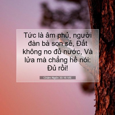 Picture 07 - Châm Ngôn 30:16 VIE - Tức là âm phủ, người đàn bà son sẻ, - Bible Verse Picture