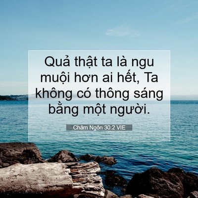 Picture 07 - Châm Ngôn 30:2 VIE - Quả thật ta là ngu muội hơn ai hết, Ta - Bible Verse Picture