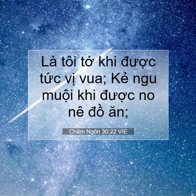 Picture 07 - Châm Ngôn 30:22 VIE - Là tôi tớ khi được tức vị vua; Kẻ - Bible Verse Picture