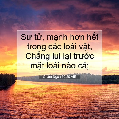 Picture 07 - Châm Ngôn 30:30 VIE - Sư tử, mạnh hơn hết trong các loài - Bible Verse Picture