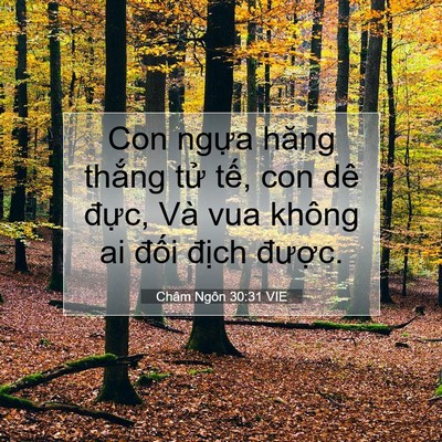 Picture 07 - Châm Ngôn 30:31 VIE - Con ngựa hăng thắng tử tế, con dê - Bible Verse Picture