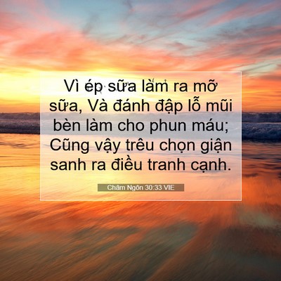Picture 07 - Châm Ngôn 30:33 VIE - Vì ép sữa làm ra mỡ sữa, Và đánh - Bible Verse Picture
