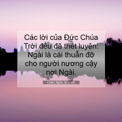 Picture 07 - Châm Ngôn 30:5 VIE - Các lời của Đức Chúa Trời đều đã - Bible Verse Picture