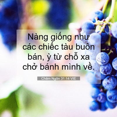 Picture 07 - Châm Ngôn 31:14 VIE - Nàng giống như các chiếc tàu buôn bán, - Bible Verse Picture