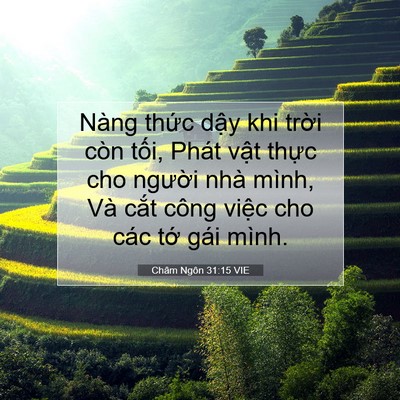 Picture 07 - Châm Ngôn 31:15 VIE - Nàng thức dậy khi trời còn tối, Phát - Bible Verse Picture
