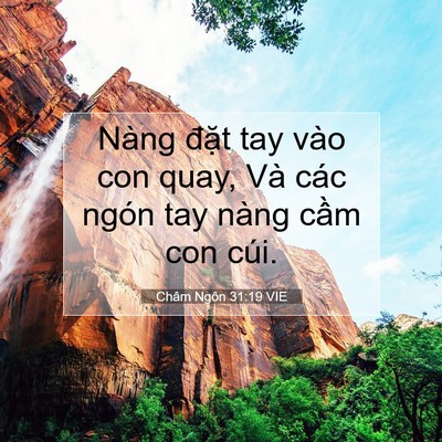 Picture 07 - Châm Ngôn 31:19 VIE - Nàng đặt tay vào con quay, Và các ngón - Bible Verse Picture