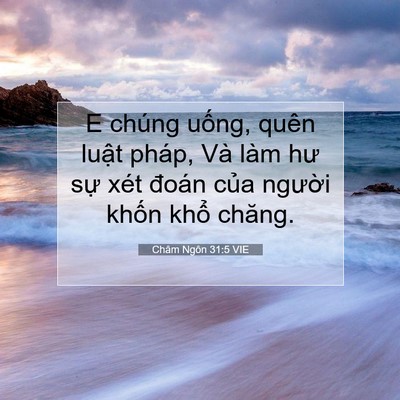 Picture 07 - Châm Ngôn 31:5 VIE - E chúng uống, quên luật pháp, Và làm hư - Bible Verse Picture