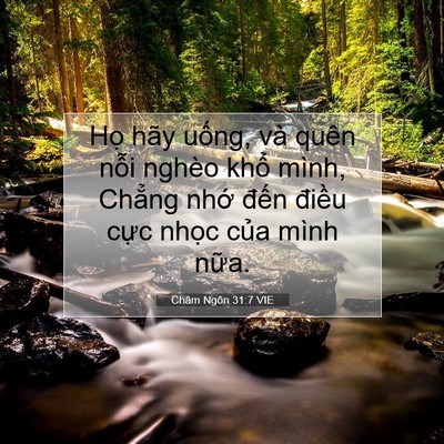 Picture 07 - Châm Ngôn 31:7 VIE - Họ hãy uống, và quên nỗi nghèo khổ - Bible Verse Picture