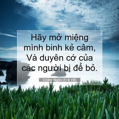 Picture 07 - Châm Ngôn 31:8 VIE - Hãy mở miệng mình binh kẻ câm, Và - Bible Verse Picture