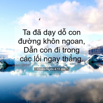 Picture 07 - Châm Ngôn 4:11 VIE - Ta đã dạy dỗ con đường khôn ngoan, - Bible Verse Picture