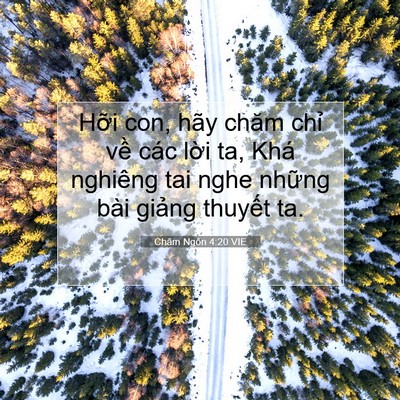 Picture 07 - Châm Ngôn 4:20 VIE - Hỡi con, hãy chăm chỉ về các lời ta, - Bible Verse Picture