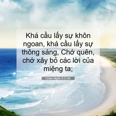 Picture 07 - Châm Ngôn 4:5 VIE - Khá cầu lấy sự khôn ngoan, khá cầu - Bible Verse Picture