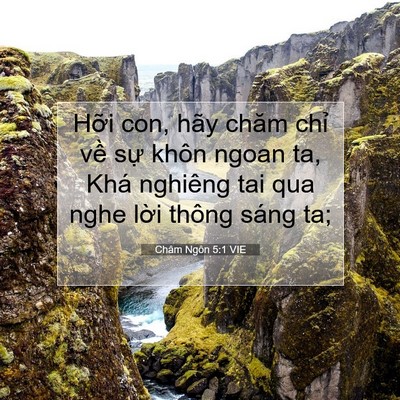 Picture 07 - Châm Ngôn 5:1 VIE - Hỡi con, hãy chăm chỉ về sự khôn ngoan - Bible Verse Picture
