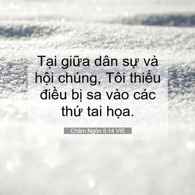 Picture 07 - Châm Ngôn 5:14 VIE - Tại giữa dân sự và hội chúng, Tôi - Bible Verse Picture