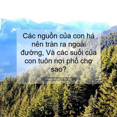 Picture 07 - Châm Ngôn 5:16 VIE - Các nguồn của con há nên tràn ra ngoài - Bible Verse Picture