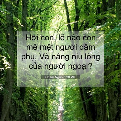 Picture 07 - Châm Ngôn 5:20 VIE - Hỡi con, lẽ nào con mê mệt người dâm - Bible Verse Picture