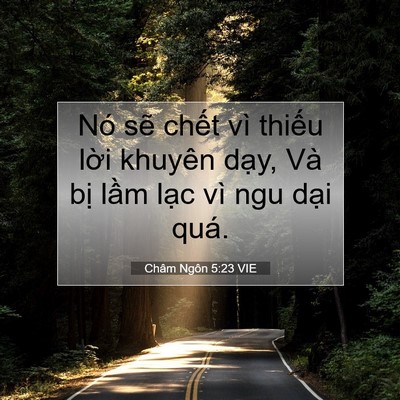 Picture 07 - Châm Ngôn 5:23 VIE - Nó sẽ chết vì thiếu lời khuyên dạy, - Bible Verse Picture