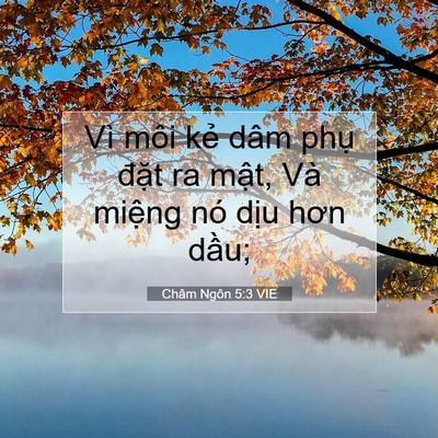 Picture 07 - Châm Ngôn 5:3 VIE - Vì môi kẻ dâm phụ đặt ra mật, Và - Bible Verse Picture