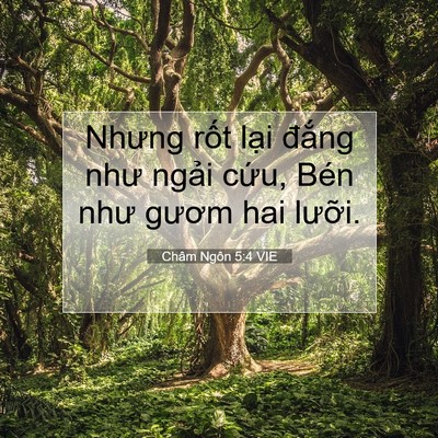 Picture 07 - Châm Ngôn 5:4 VIE - Nhưng rốt lại đắng như ngải cứu, - Bible Verse Picture